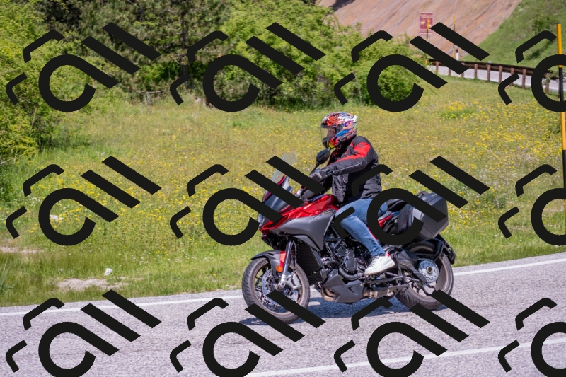 202506021222-DSC_8891_c4_