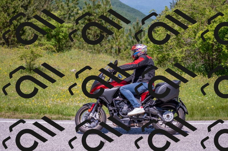 202506021222-DSC_8892_c4_