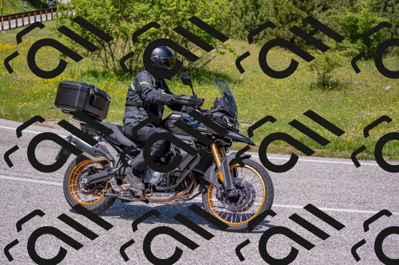 202506021222-DSC_8897_c4_