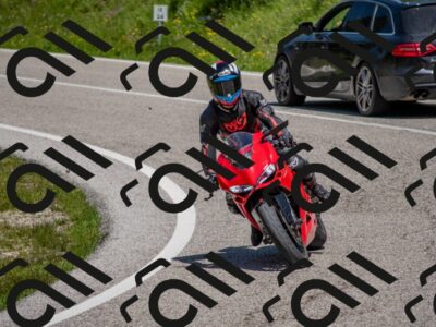 202506021223-DSC_8898_c4_