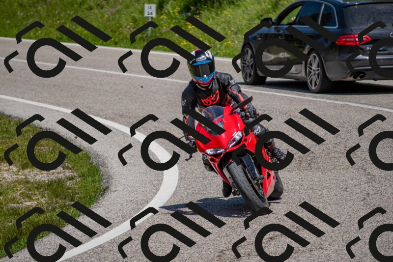 202506021223-DSC_8898_c4_