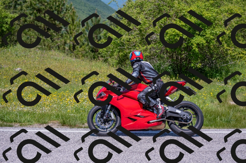 202506021223-DSC_8900_c4_