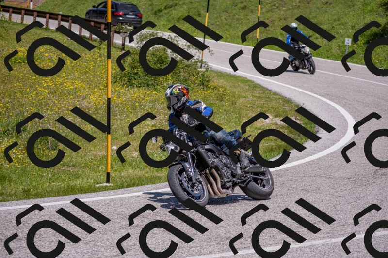 202506021223-DSC_8901_c4_