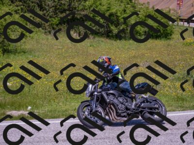 202506021223-DSC_8902_c4_