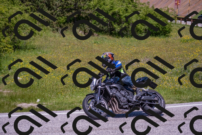 202506021223-DSC_8902_c4_