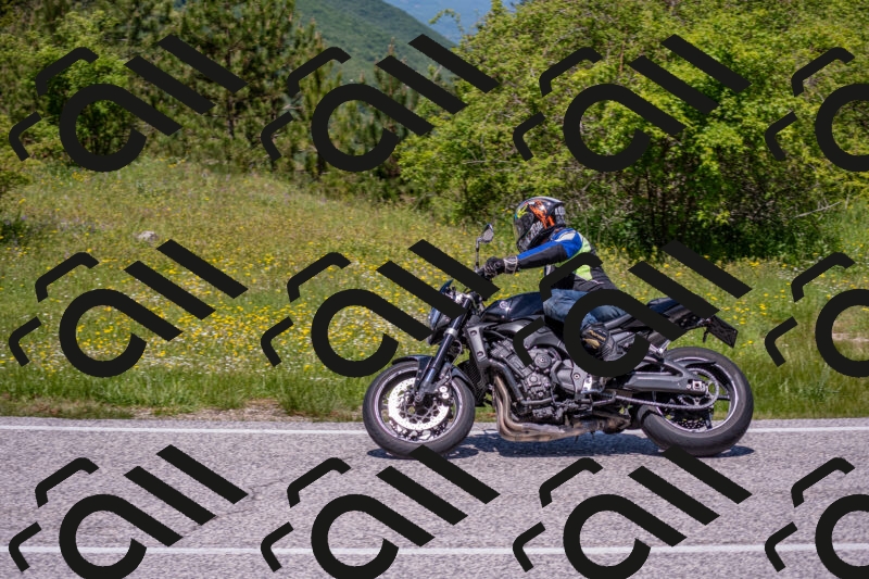 202506021223-DSC_8903_c4_