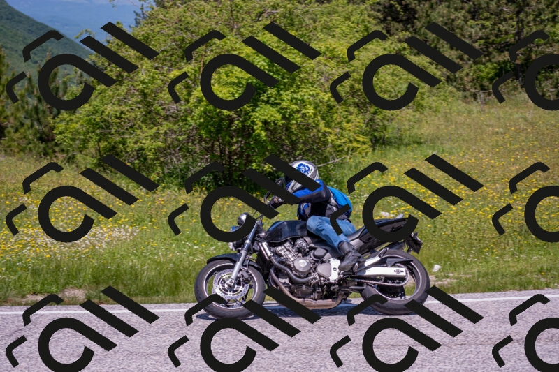 202506021223-DSC_8905_c4_