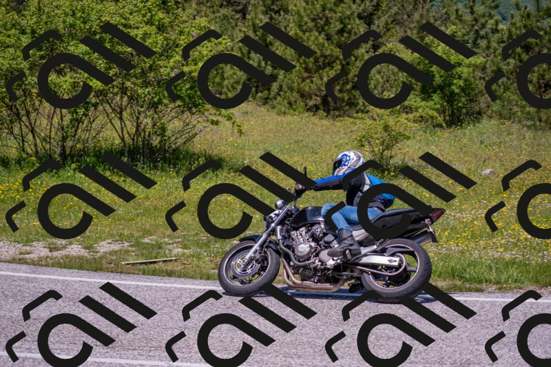 202506021223-DSC_8906_c4_