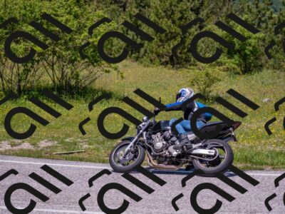 202506021223-DSC_8906_c4_