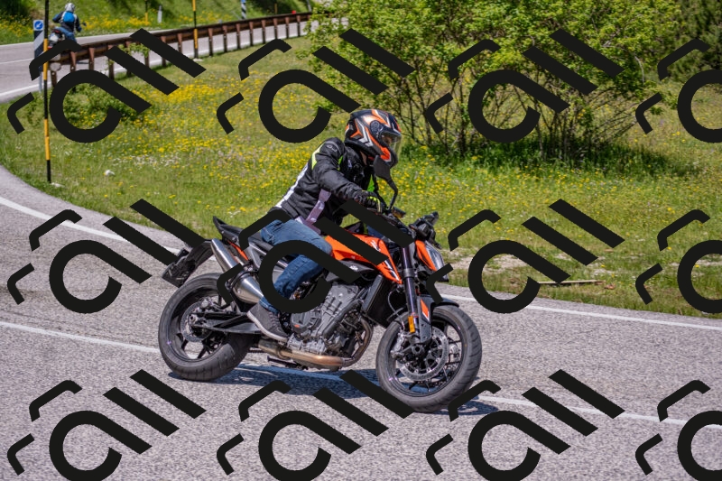 202506021223-DSC_8908_c4_