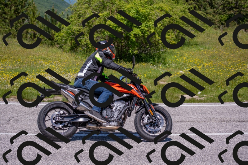 202506021223-DSC_8909_c4_