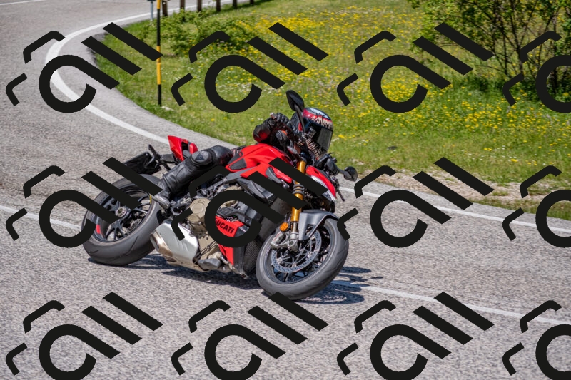 202506021223-DSC_8911_c4_