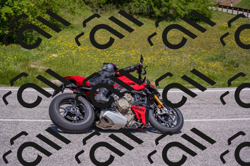 202506021223-DSC_8912_c4_