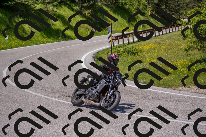 202506021224-DSC_8913_c4_