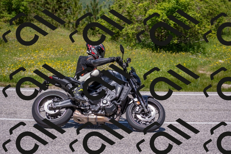 202506021224-DSC_8914_c4_