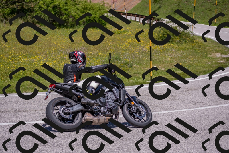 202506021224-DSC_8915_c4_