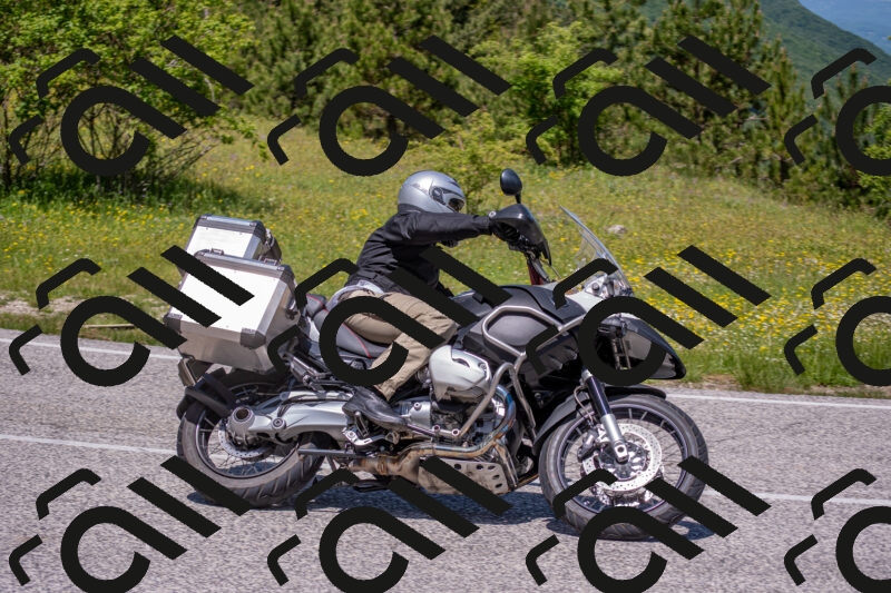 202506021224-DSC_8918_c4_