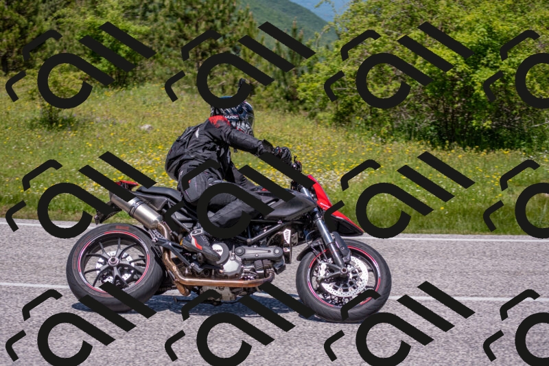 202506021224-DSC_8921_c4_