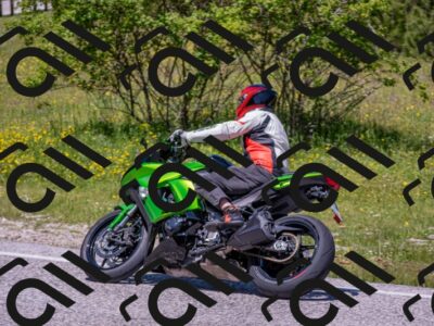 202506021224-DSC_8924_c4_