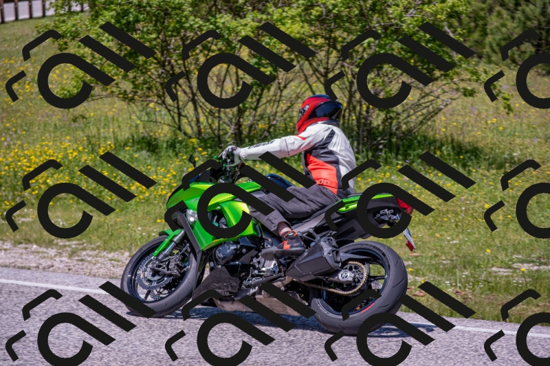 202506021224-DSC_8924_c4_