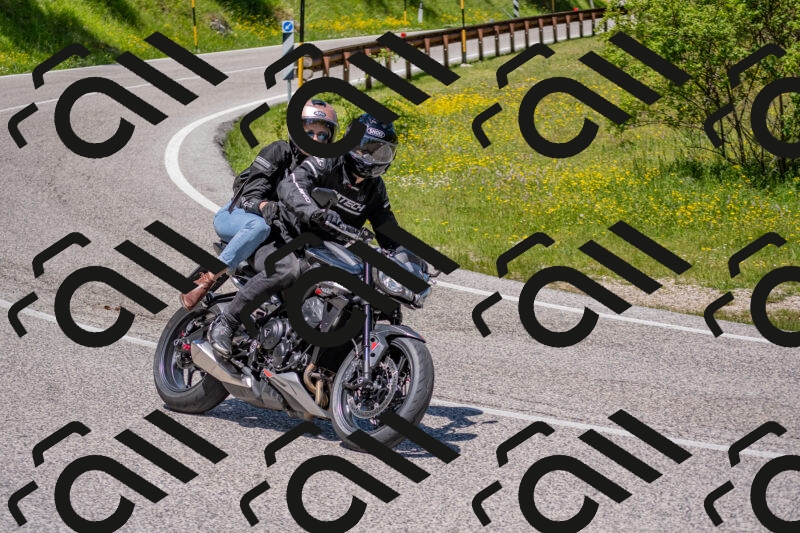 202506021224-DSC_8926_c4_