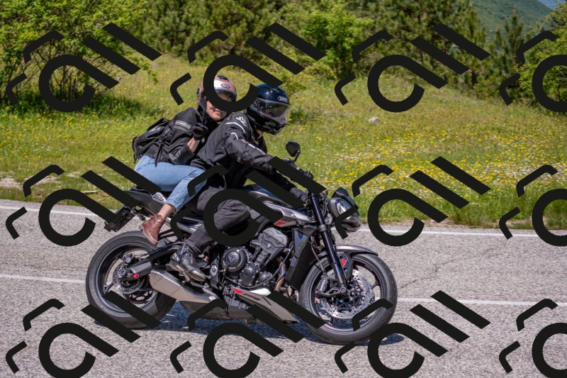 202506021224-DSC_8927_c4_