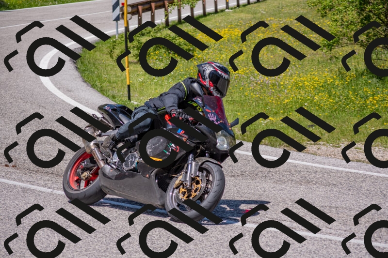 202506021225-DSC_8929_c4_