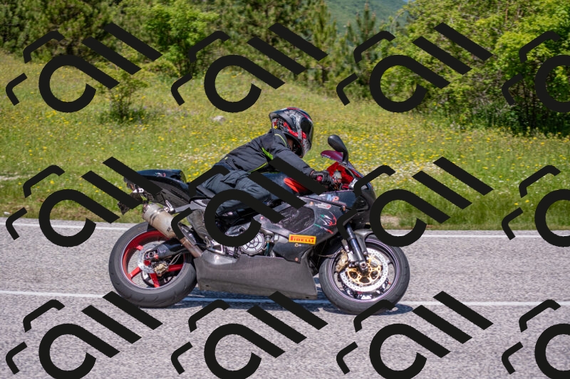 202506021225-DSC_8930_c4_