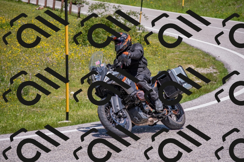 202506021225-DSC_8931_c4_