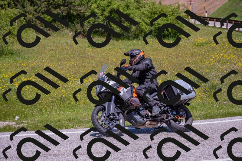 202506021225-DSC_8932_c4_