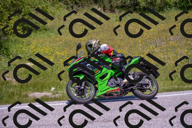 202506021226-DSC_8939_c4_