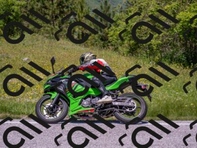 202506021226-DSC_8940_c4_