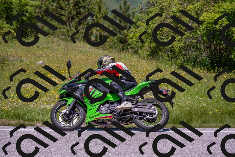 202506021226-DSC_8940_c4_