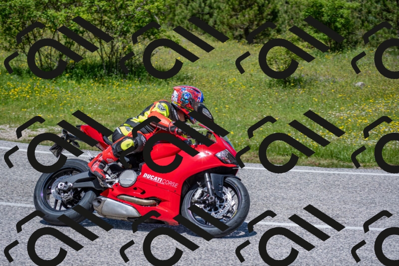 202506021226-DSC_8942_c4_