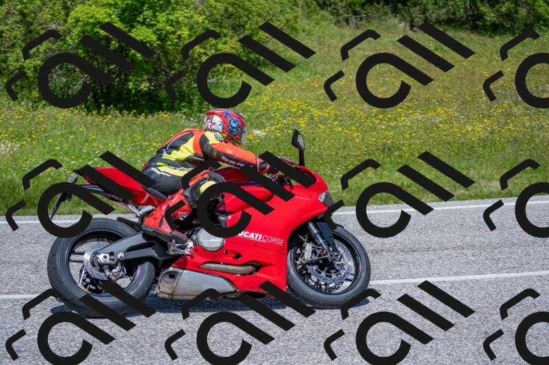 202506021226-DSC_8943_c4_