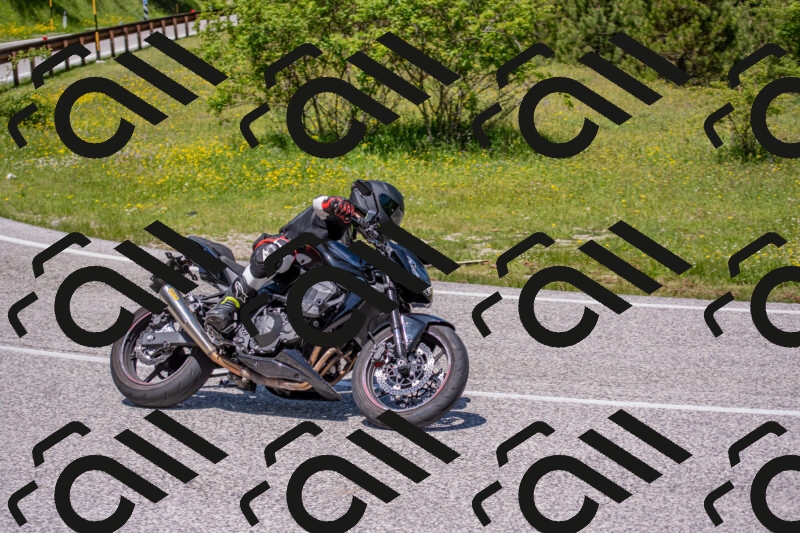 202506021226-DSC_8948_c4_