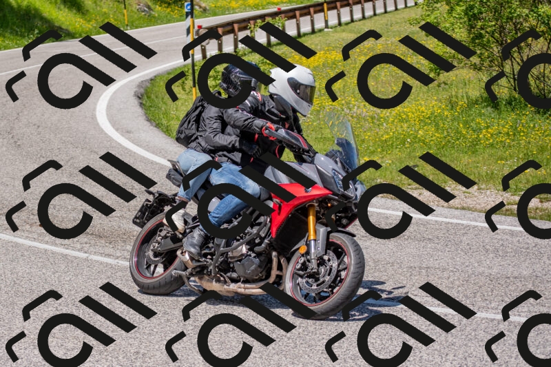 202506021226-DSC_8951_c4_