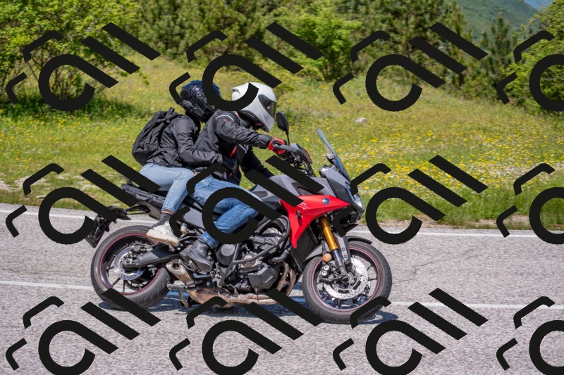 202506021226-DSC_8952_c4_