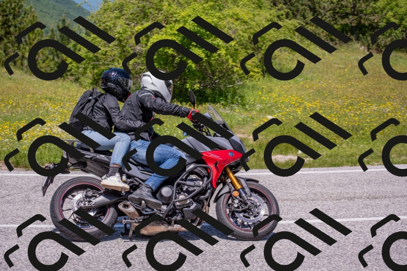 202506021226-DSC_8953_c4_