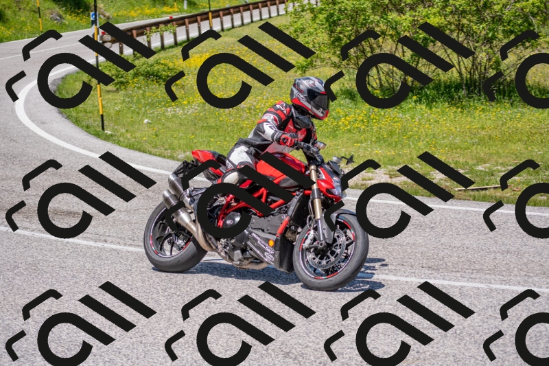 202506021226-DSC_8954_c4_