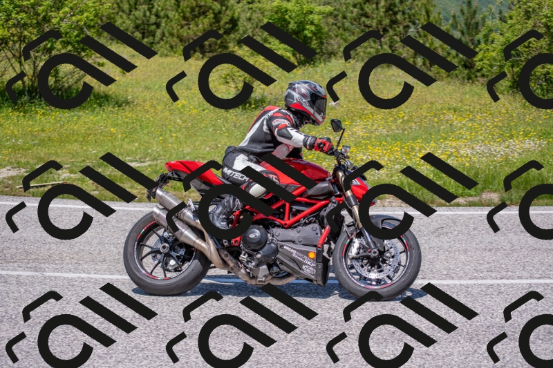 202506021226-DSC_8955_c4_