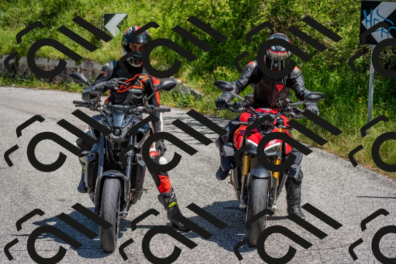 202506021226-DSC_8958_c4_