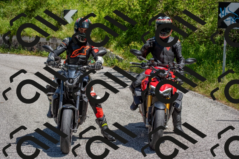 202506021226-DSC_8960_c4_