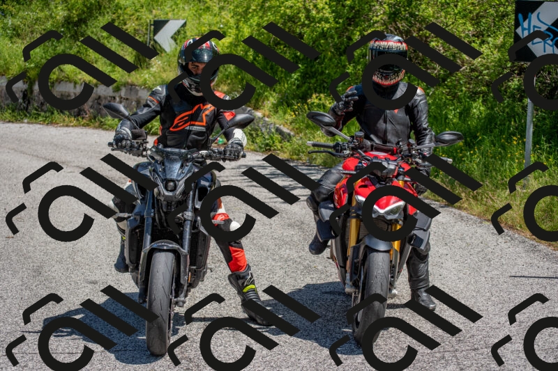 202506021226-DSC_8961_c4_