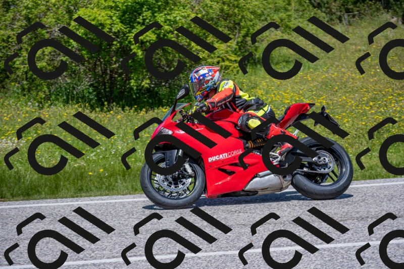 202506021227-DSC_8963_c4_