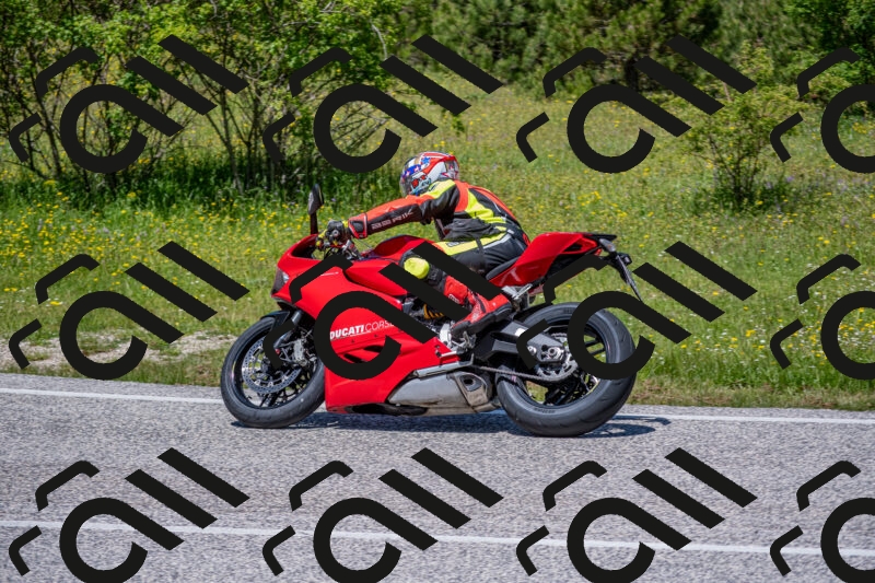 202506021227-DSC_8964_c4_