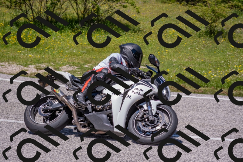 202506021227-DSC_8966_c4_