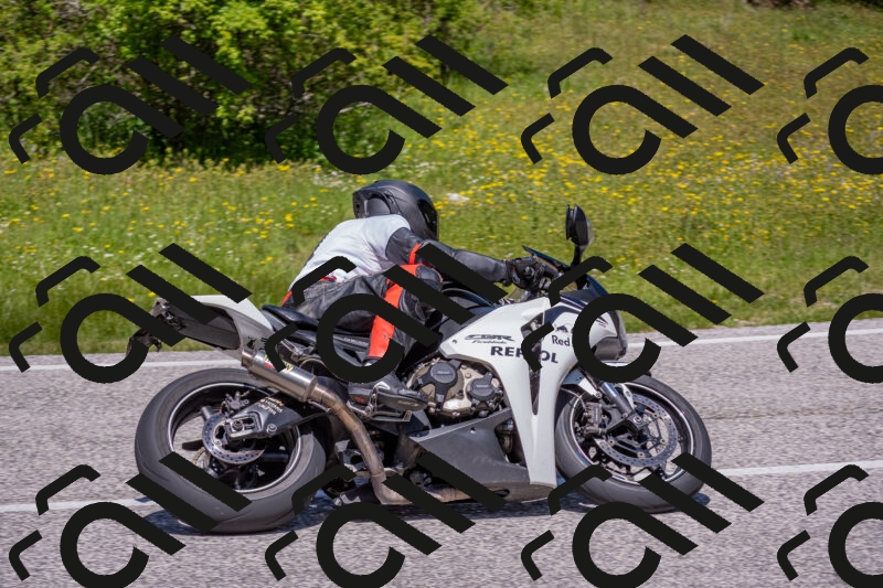 202506021227-DSC_8967_c4_