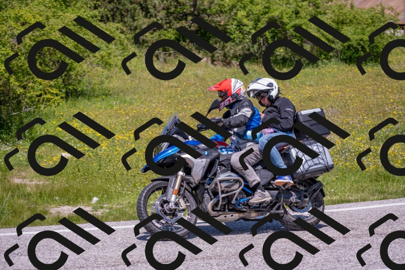 202506021228-DSC_8969_c4_