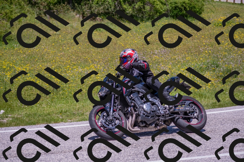 202506021228-DSC_8971_c4_